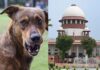 सुप्रीम कोर्ट ने कुत्तों के हमलों पर जताई नाराज़गी, कहा—देश की छवि हो रही धूमिल, सभी राज्यों को तलब किया