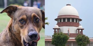 सुप्रीम कोर्ट ने कुत्तों के हमलों पर जताई नाराज़गी, कहा—देश की छवि हो रही धूमिल, सभी राज्यों को तलब किया